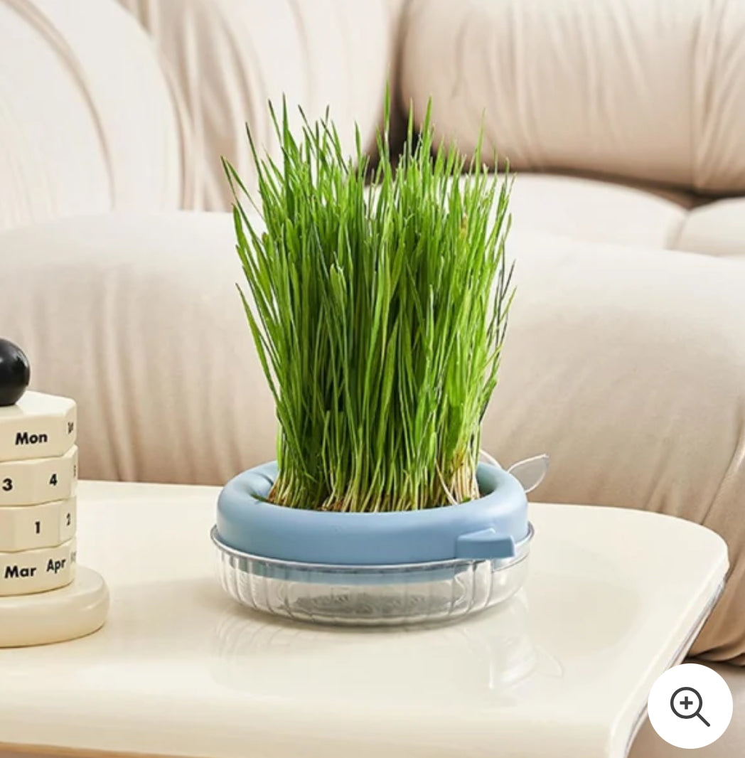 Dolphin Shape Cat Grass