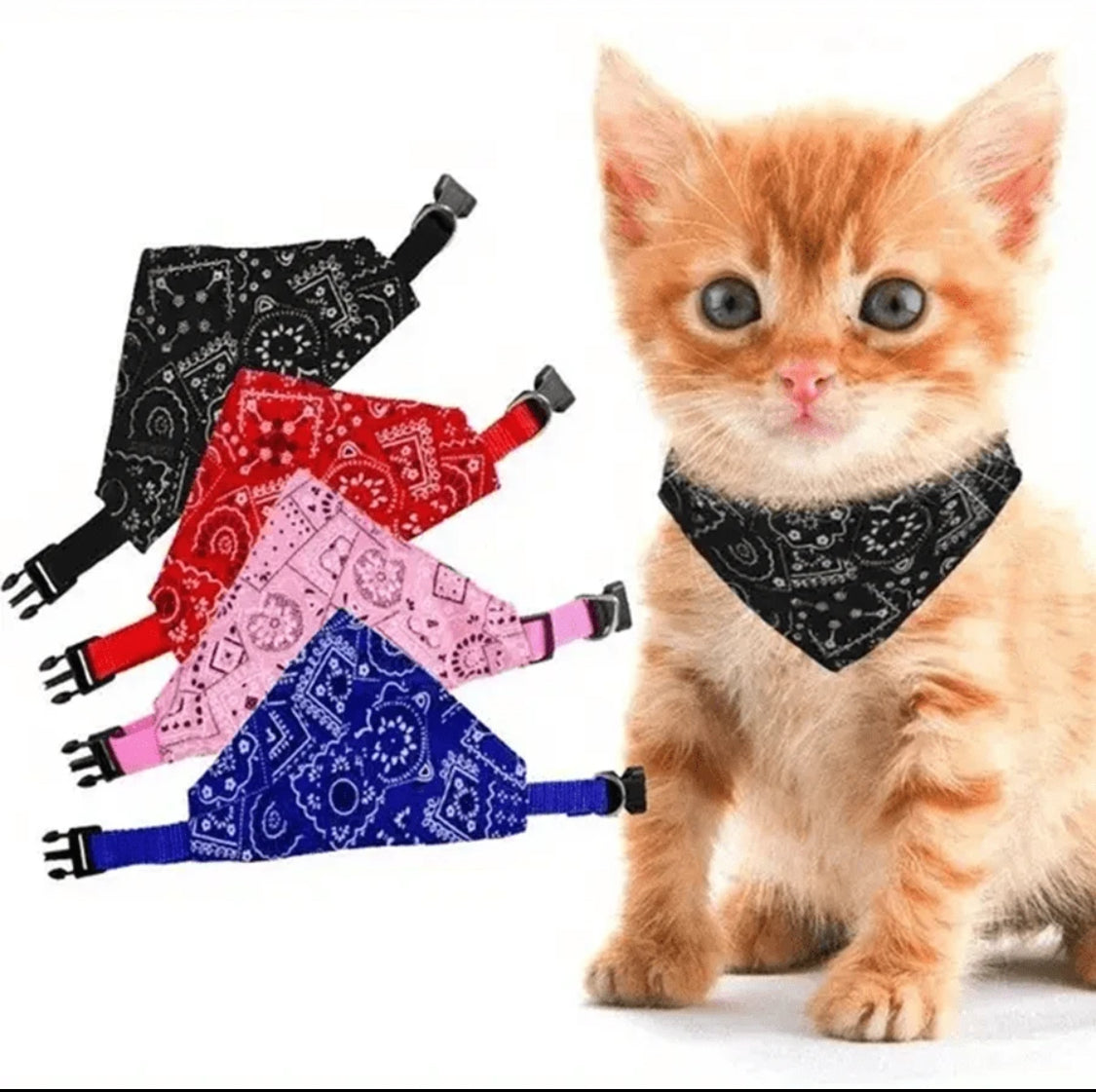 Pet collar for cats and dogs