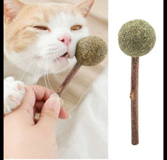 Catnip stick