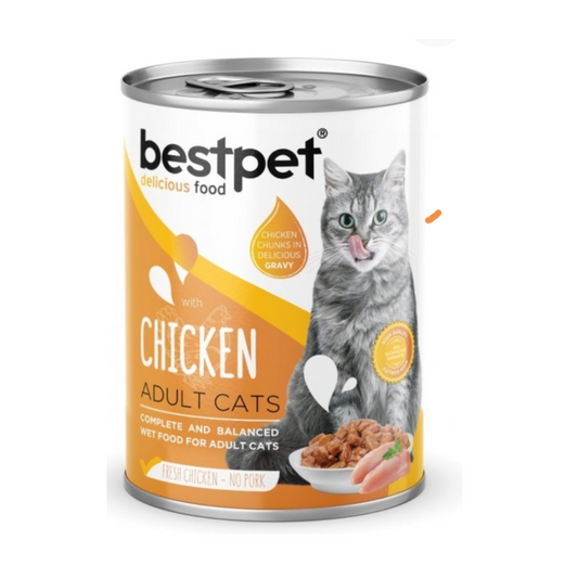 Bestpet gravy chunks 400g chicken معلب قطع بالمرق بنكهة الدجاج