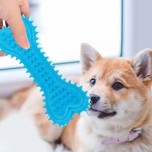 Teether Bone Toy