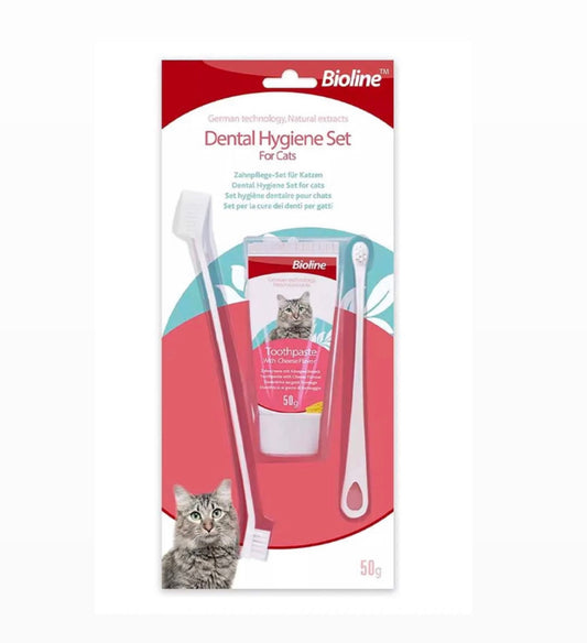 طقم معجون وفرشاة اسنان dental set