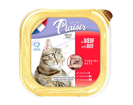 Plaisir pate 100g beef ground beef flavoured box