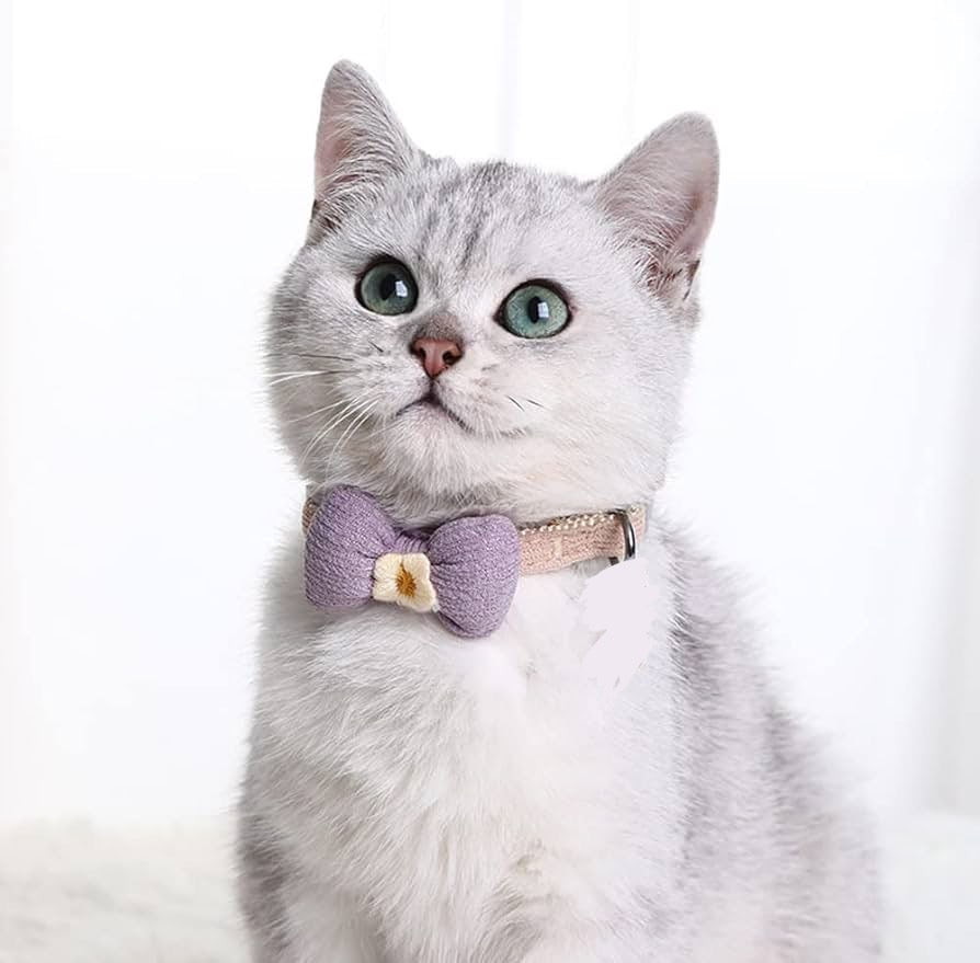 Cloth collar with bow 🎀💖